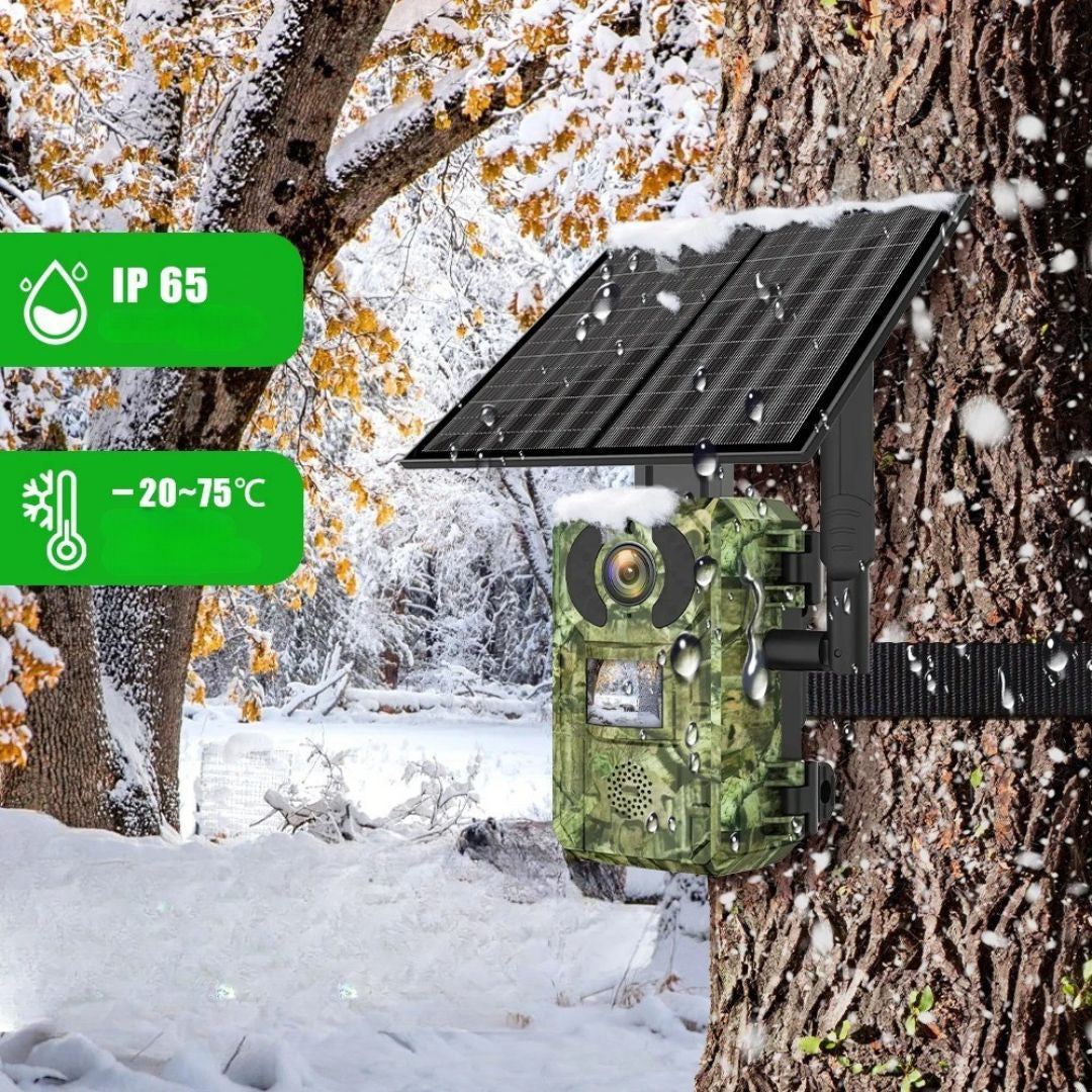 Fototrappola 4G 128G Solare Rehent - Autonomia Illimitata