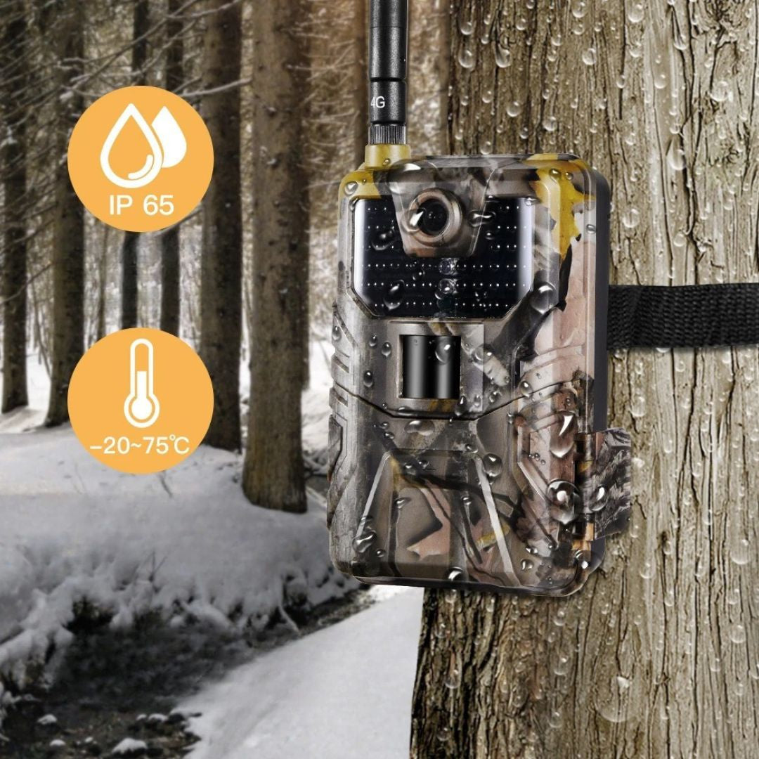 Fototrappola collegata al Cellulare